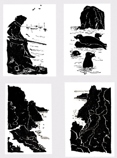 男孩鱼，海豹剪影