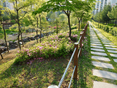 韩国清州森林路