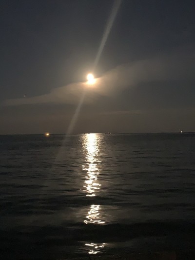 月光