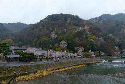 《京都议定书》