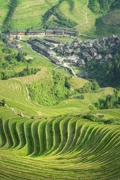 梯田