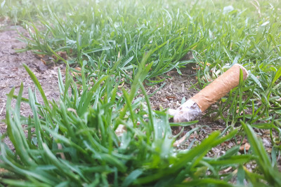 在一个公园里，用过的香烟被植物包围的地面特写