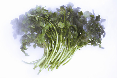 豆瓣菜