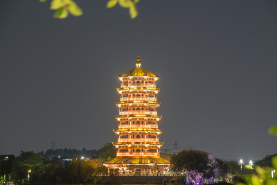 中国广东东莞华阳湿地公园