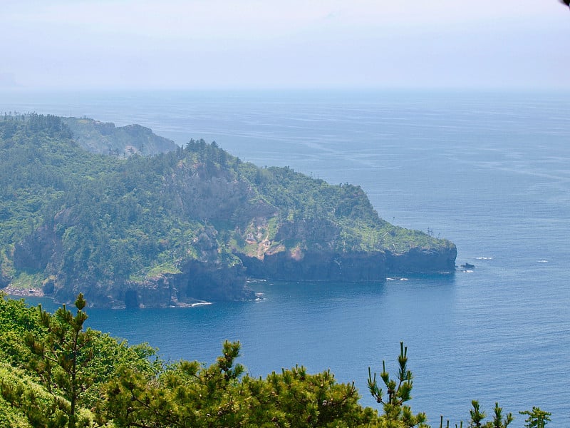 冲电气岛/岛,日本