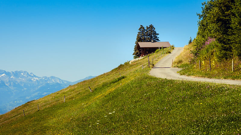 高山全景，绿草如茵，混凝土道路