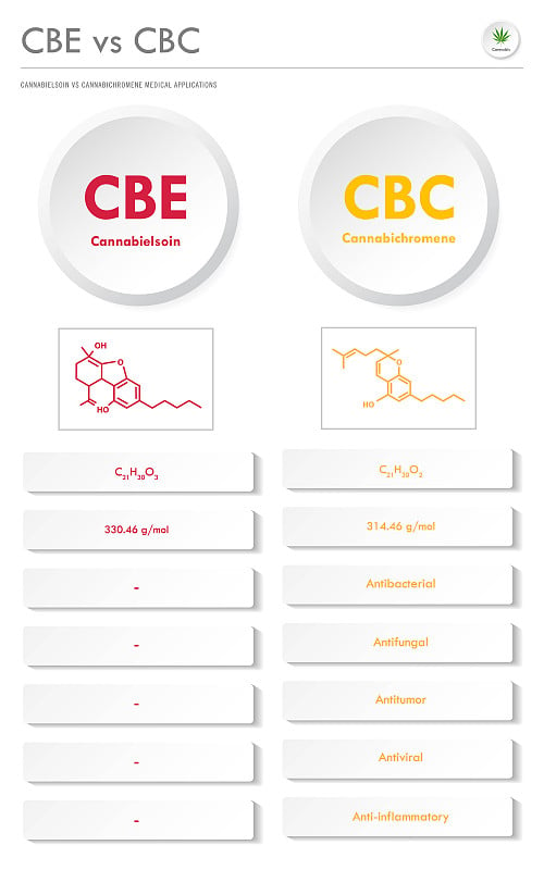 CBE vs CBC, Cannabielsoin vs cannabichromen垂直商业信息图