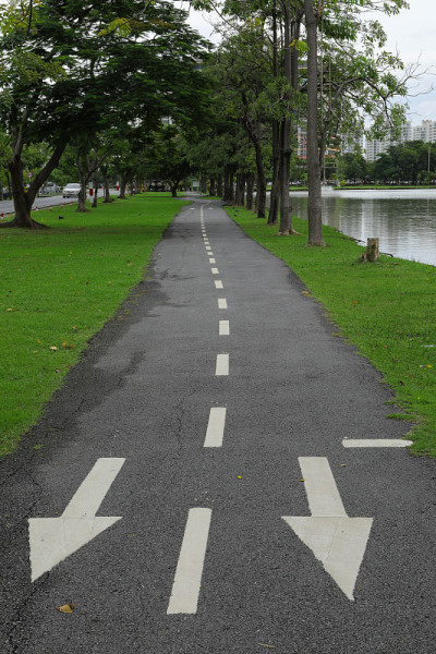箭头指向柏油路