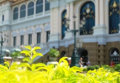 美丽的花园在Chakri Maha Prasat王座大厅泰国