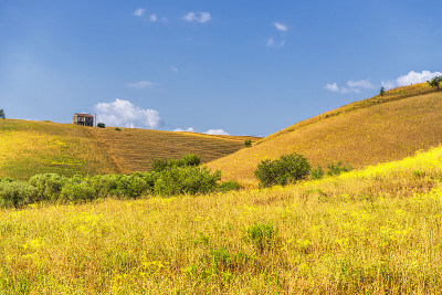 巴西利卡塔Val D'Agri的夏季乡村景观和鲜花田