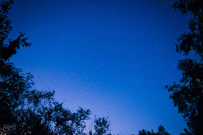 夜晚森林里深蓝色的天空