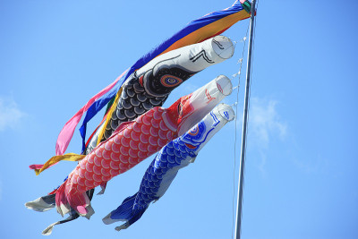 鲤鱼等浮电缆