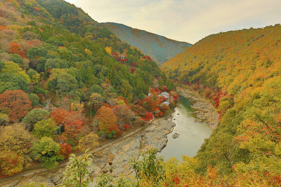 岚山秋叶