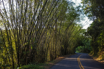 穆伦古山路