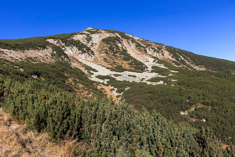 保加利亚皮林山贝兹博格峰景观