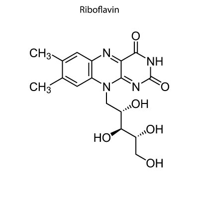 分子骨架式。