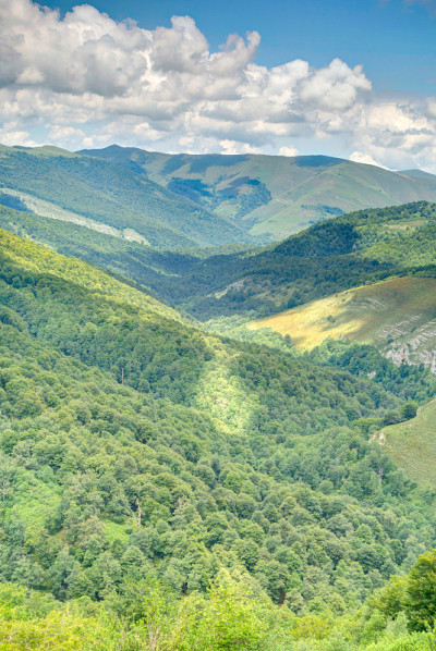 我的天然公园，Cantabria