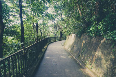 自然道，自然道
