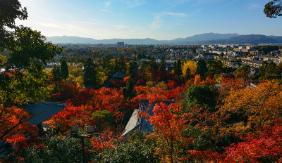 日本京都的秋景和红枫