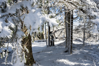 山顶积雪覆盖休息点