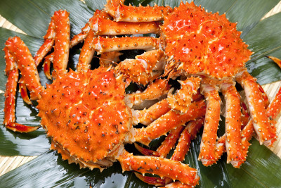帝王蟹