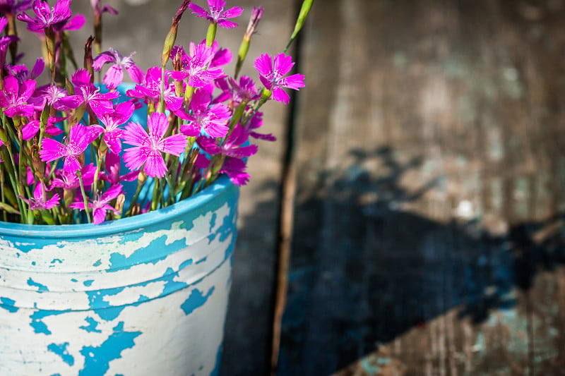 束鲜花