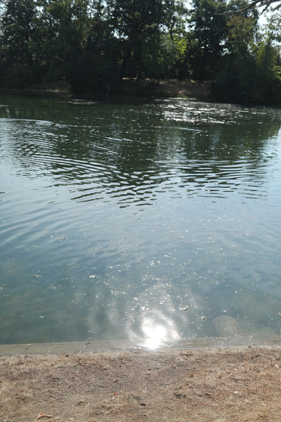 普莱西德湖