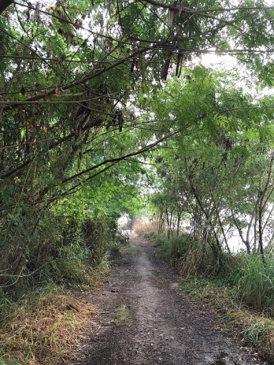 村内公路靠近河岸