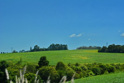 路上的风景