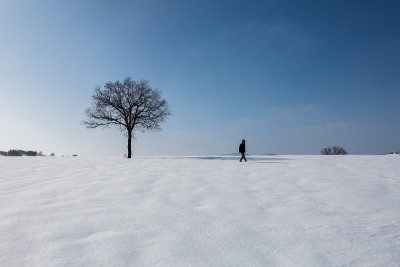 冬天的风景