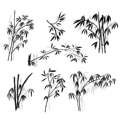 竹影和太阳，孤立在白色背景，高分辨率