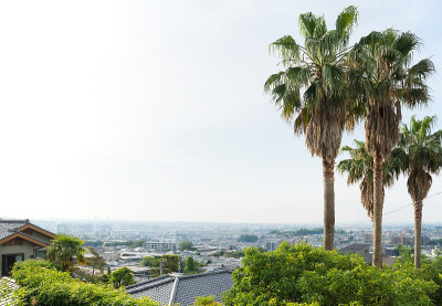Hibarigaoka城市景观