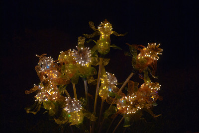 鲜花照明