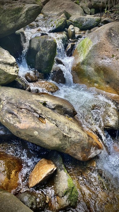 柔和的水流流过雨林中的棕色岩石
