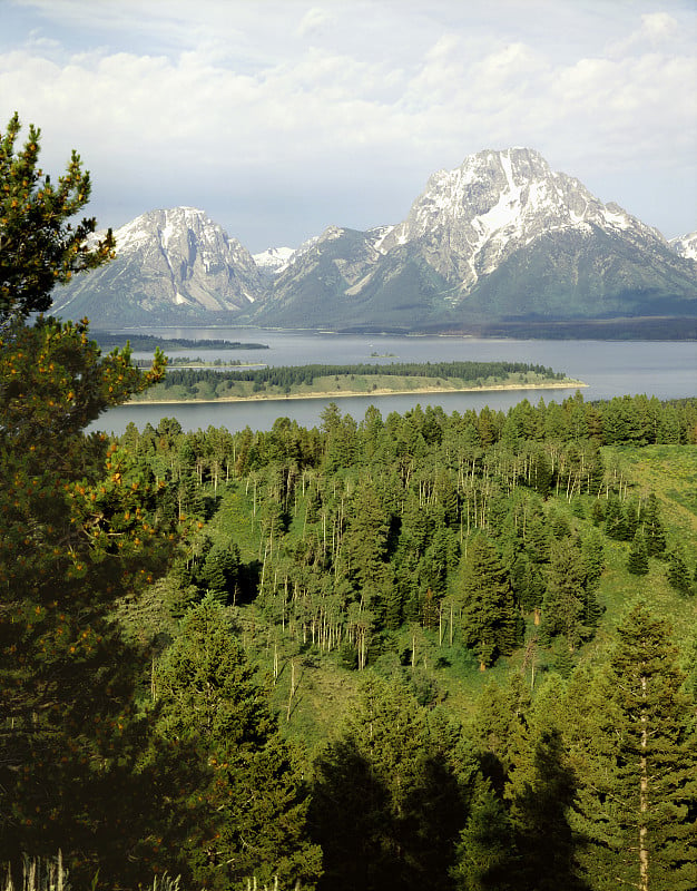 Mt.Moran