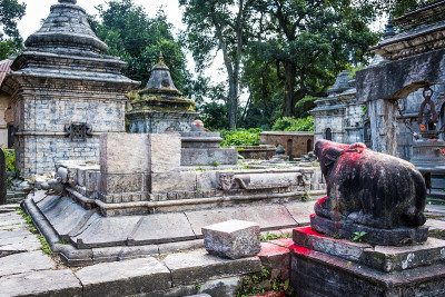 加德满都的Pashupatinath寺庙建筑群