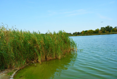 美丽的萨马拉河风景如画的陡峭的河岸和海岸，树木，绿色植物和丰富的天空。明亮而令人难忘的自然，舍普琴科