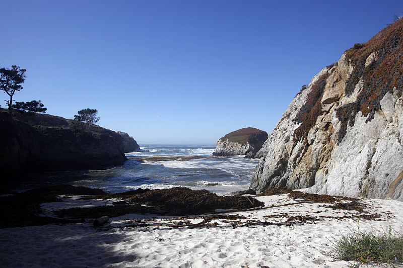 Point Lobos State Reserve, California