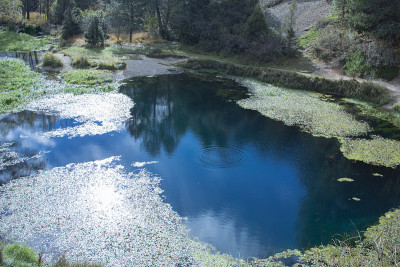 Numancia索里,