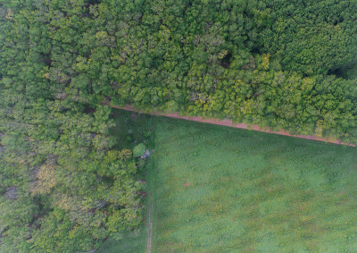 空中Para橡胶树，橡胶种植园，和当地的道路
