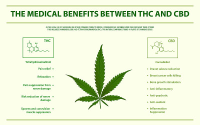 THC和CBD之间的医疗效益水平信息图表