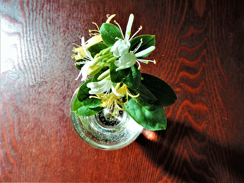 野花。花束。安装。