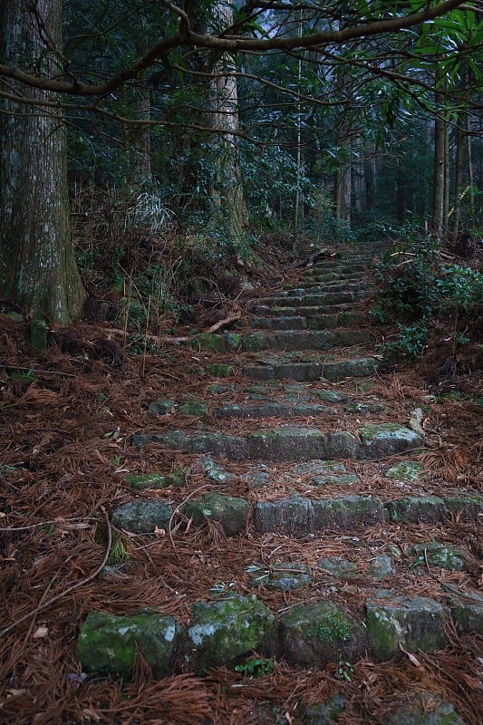 日本和歌山县熊野琴道朝圣之路，世界遗产