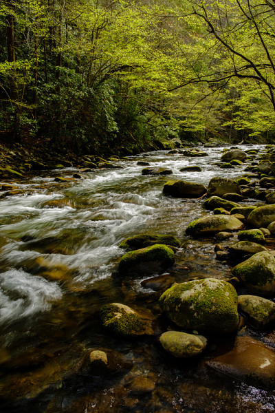 小鸽子河，大烟山