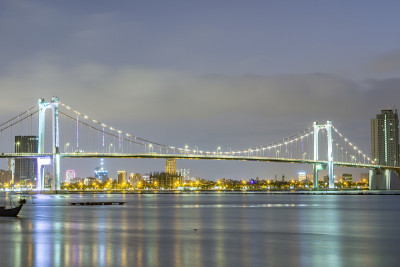越南岘港:岘港众多标志性建筑之一的顺福大桥夜景。