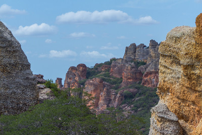 卡皮维拉Serra da Capivara的多叶Catinga