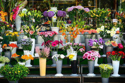 小的花店