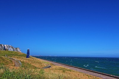 多佛悬崖海堤上的海蓬子锄头塔