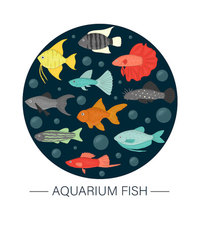 矢量彩色插图水族馆鱼框在圆圈在深蓝色的背景。