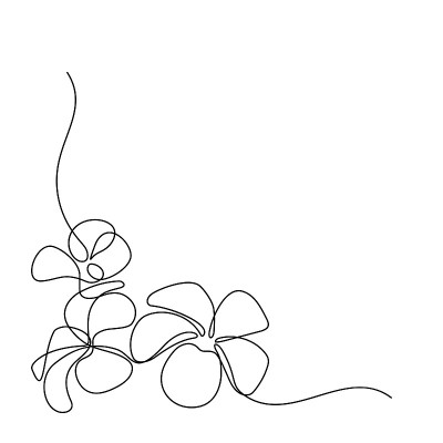 Plumeria鲜花角落